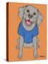 Weimaraner-Tomoyo Pitcher-Stretched Canvas