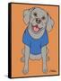 Weimaraner-Tomoyo Pitcher-Framed Stretched Canvas