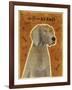 Weimaraner-John W Golden-Framed Giclee Print