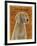 Weimaraner-John W Golden-Framed Giclee Print