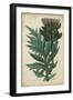 Weinmann Foliage and Fruit II-Weinmann-Framed Art Print