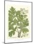 Weinmann Greenery I-Johann Wilhelm Weinmann-Mounted Art Print