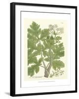 Weinmann Greenery I-Johann Wilhelm Weinmann-Framed Art Print