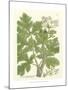 Weinmann Greenery I-Johann Wilhelm Weinmann-Mounted Art Print