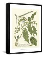 Weinmann Greenery II-Johann Wilhelm Weinmann-Framed Stretched Canvas