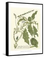 Weinmann Greenery II-Johann Wilhelm Weinmann-Framed Stretched Canvas