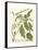 Weinmann Greenery II-Johann Wilhelm Weinmann-Framed Stretched Canvas