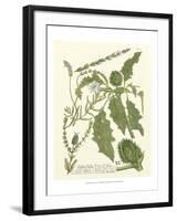 Weinmann Greenery II-Johann Wilhelm Weinmann-Framed Art Print