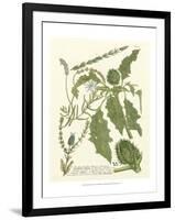 Weinmann Greenery II-Johann Wilhelm Weinmann-Framed Art Print