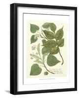 Weinmann Greenery III-Johann Wilhelm Weinmann-Framed Art Print