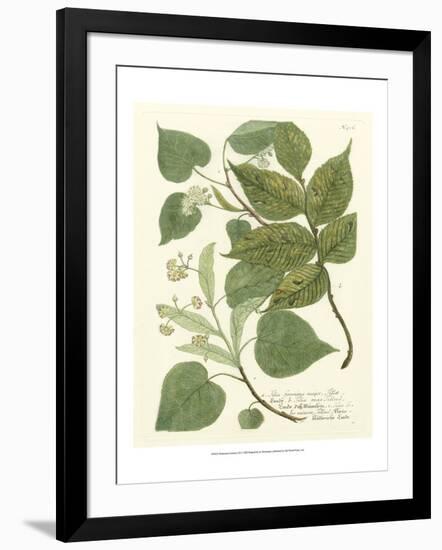 Weinmann Greenery III-Johann Wilhelm Weinmann-Framed Art Print