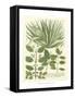 Weinmann Greenery IV-Johann Wilhelm Weinmann-Framed Stretched Canvas