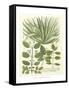 Weinmann Greenery IV-Johann Wilhelm Weinmann-Framed Stretched Canvas