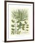 Weinmann Greenery IV-Johann Wilhelm Weinmann-Framed Art Print