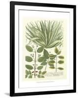 Weinmann Greenery IV-Johann Wilhelm Weinmann-Framed Art Print