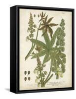 Weinmann Tropical Plants I-Johann Weinmann-Framed Stretched Canvas