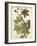 Weinmann Tropical Plants II-Johann Weinmann-Framed Art Print