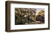 Weir Farm Art Center Wilton Ct-null-Framed Art Print