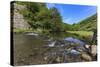 Weir, River Dove, Dovedale and Milldale in Spring, White Peak, Peak District-Eleanor Scriven-Stretched Canvas