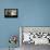 Weisheit: Motivationsposter Mit Inspirierendem Zitat-null-Mounted Photographic Print displayed on a wall