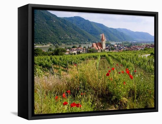 Weissenkirchen Pfarrkirche and Vineyards, Wachau, Lower Austria, Austria-Charles Bowman-Framed Stretched Canvas