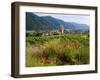 Weissenkirchen Pfarrkirche and Vineyards, Wachau, Lower Austria, Austria-Charles Bowman-Framed Photographic Print