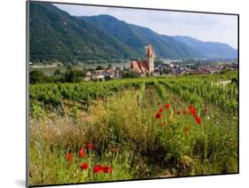 Weissenkirchen Pfarrkirche and Vineyards, Wachau, Lower Austria, Austria-Charles Bowman-Mounted Photographic Print