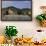 Weissenkirchen Pfarrkirche and Vineyards, Wachau, UNESCO World Heritage Site, Lower Austria-Charles Bowman-Framed Photographic Print displayed on a wall