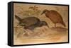 Weka Rail (Ocydromus Australis), C.1851-76-Joseph Wolf-Framed Stretched Canvas