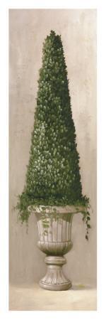 Florentine Topiary II