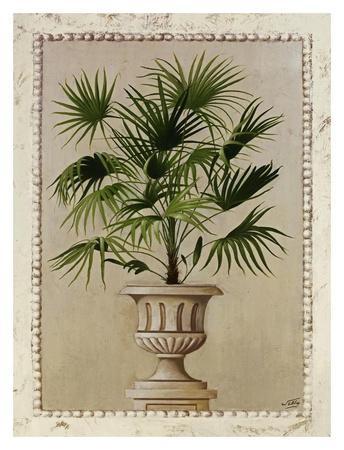 Welby ''Potted Orange Tree'' Gallery Wrapped Canvas 12X18 Welby ''Potted Orange Tree'' Gallery Wrapped Canvas 12X18