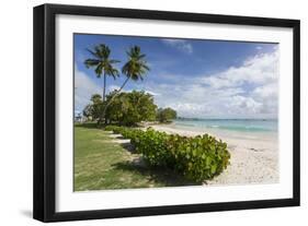 Welches Beach, Oistins, Christ Church, Barbados, West Indies, Caribbean, Central America-Frank Fell-Framed Photographic Print