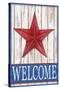 Welcome Barn Starred White Blue-Melinda Hipsher-Stretched Canvas