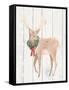 Welcome Christmas III-Jenaya Jackson-Framed Stretched Canvas