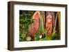 Welcome Display on the Road to Hana, Hawaii-Mike Brake-Framed Photographic Print