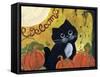 Welcome Halloween Black Cat-sylvia pimental-Framed Stretched Canvas