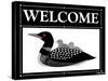 Welcome Loon-Mark Frost-Stretched Canvas