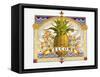 Welcome Pineapple-David Galchutt-Framed Stretched Canvas