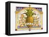 Welcome Pineapple-David Galchutt-Framed Stretched Canvas
