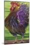 Welcome Rooster-Gigi Begin-Mounted Giclee Print