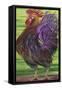 Welcome Rooster-Gigi Begin-Framed Stretched Canvas