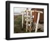 Welcome Sign, Cape Horn Island, Chile, South America-Ken Gillham-Framed Photographic Print