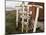 Welcome Sign, Cape Horn Island, Chile, South America-Ken Gillham-Mounted Photographic Print