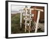 Welcome Sign, Cape Horn Island, Chile, South America-Ken Gillham-Framed Photographic Print