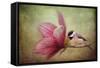 Welcome Spring-Jai Johnson-Framed Stretched Canvas