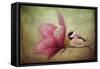 Welcome Spring-Jai Johnson-Framed Stretched Canvas