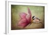 Welcome Spring-Jai Johnson-Framed Giclee Print