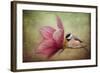 Welcome Spring-Jai Johnson-Framed Giclee Print