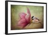 Welcome Spring-Jai Johnson-Framed Giclee Print