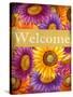 Welcome Sunflower-Kimberly Allen-Stretched Canvas